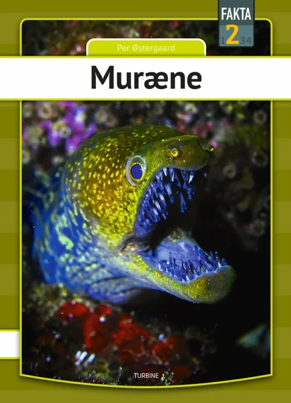 Muræne