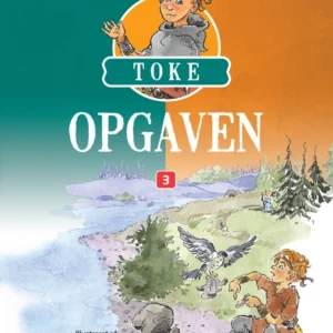 Opgaven