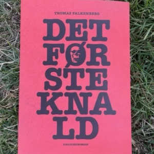 Det Første Knald