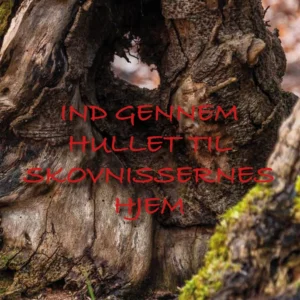 Ind gennem hullet til skovnissernes hjem
