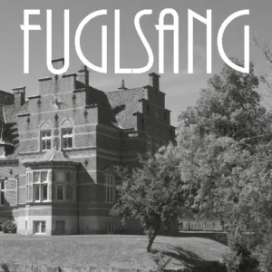 Mysteriet på Fuglsang