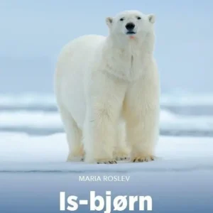 Isbjørn, Grøn Fagklub