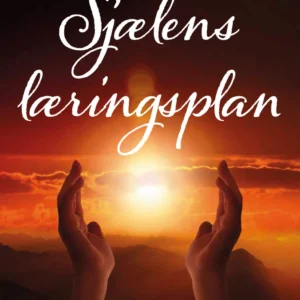 Sjælens læringsplan