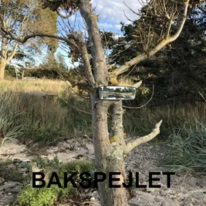 Bakspejlet
