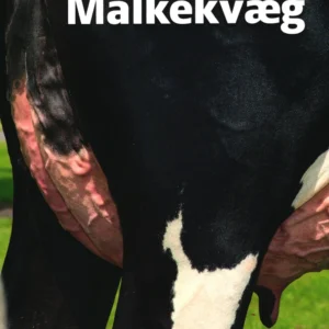 Malkekvæg