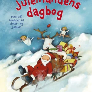 Julemandens dagbog