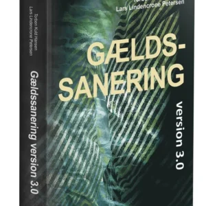 Gældssanering version 3.0