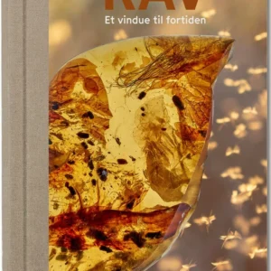 RAV - Et vindue til fortiden