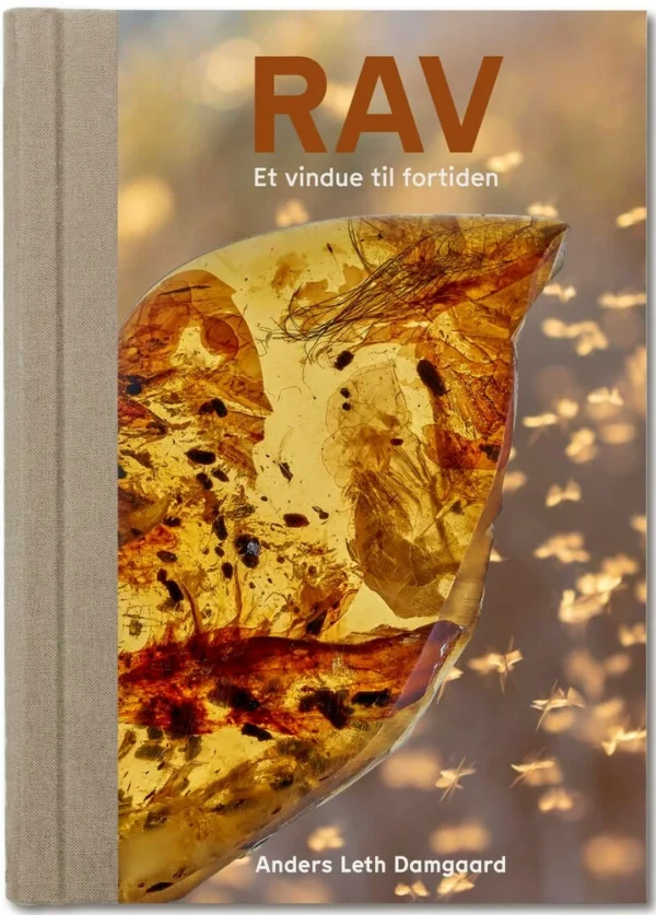 RAV - Et vindue til fortiden