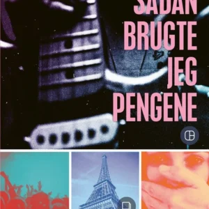 Sådan brugte jeg pengene