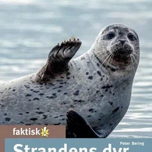 Strandens dyr