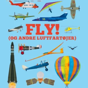 Fly (og andre luftfartøjer)