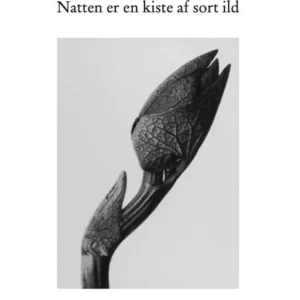 Natten er en kiste af sort ild