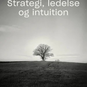Strategi, ledelse og intuition