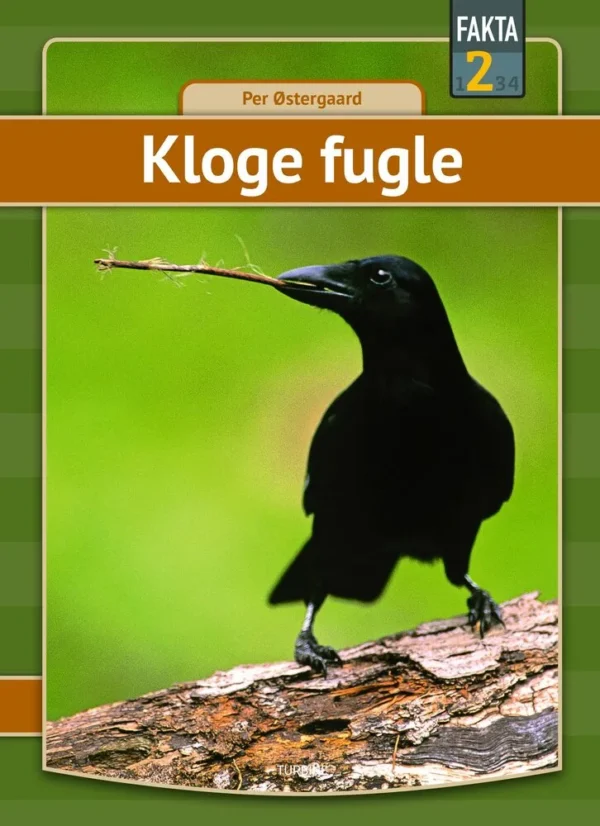 Kloge fugle