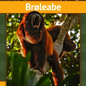 Brøleabe