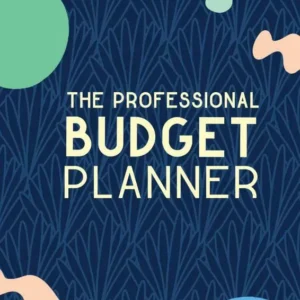 The Professional Budget Planner