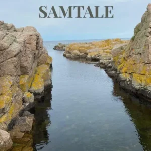 Den svære samtale