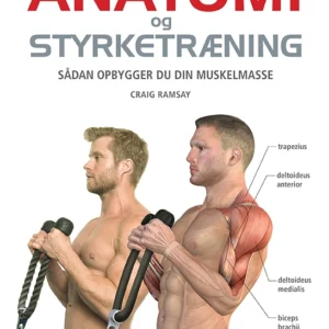 Anatomi og styrketræning