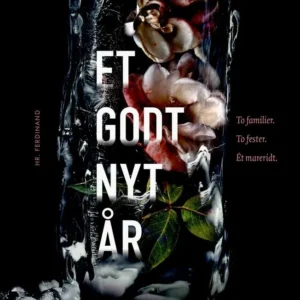 Et godt nyt år