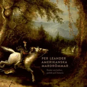Amerikanska mardrömmar : essäer om kultur, politik och historia