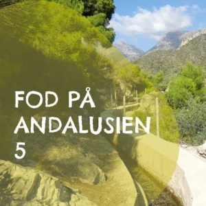 Fod på Andalusien 5