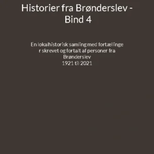 Historier fra Brønderslev - Bind 4