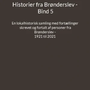 Historier fra Brønderslev - Bind 5