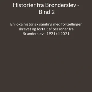 Historier fra Brønderslev - Bind 2