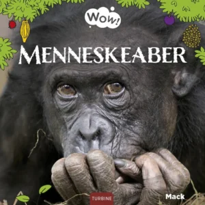 Menneskeaber