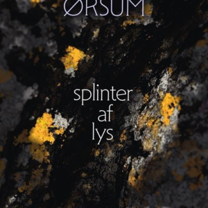 splinter af lys