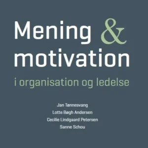 Mening og motivation