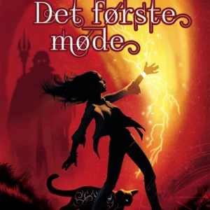 Sjælevenner 1: Det første møde