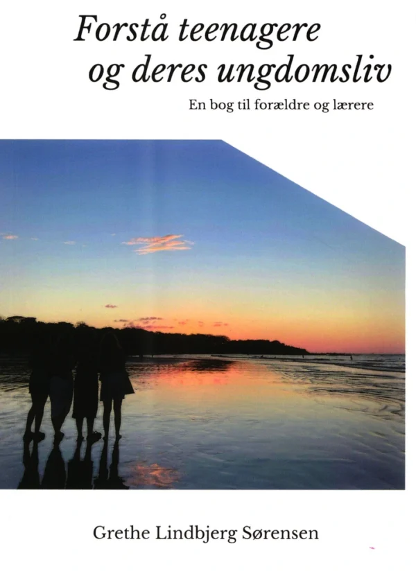 Forstå teenagere og deres ungdomsliv.