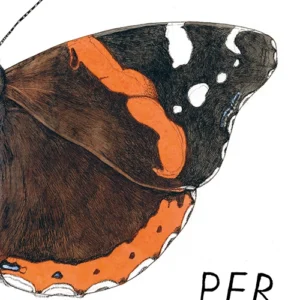 Per