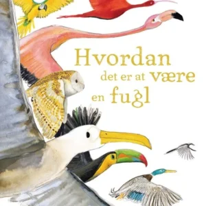 Hvordan det er at være en fugl