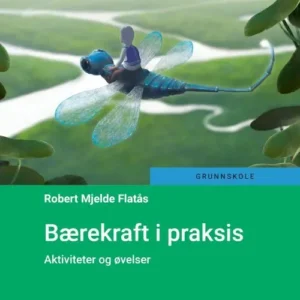 Bærekraft i praksis : aktiviteter og øvelser