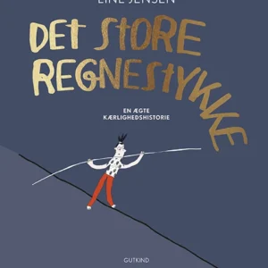 Det store regnestykke