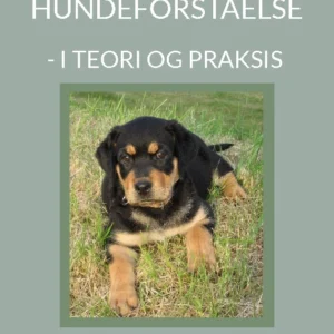 Hundeforståelse