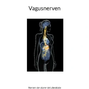 Vagusnerven