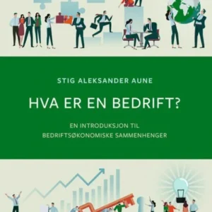 Hva er en bedrift? : en introduksjon til bedriftsøkonomiske sammenhenger