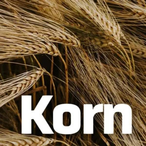 Korn