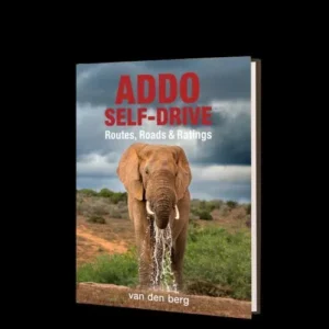 Addo Self-drive: Routes, Roads & Ratings