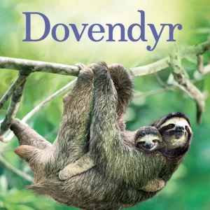 Små fakta: Dovendyr
