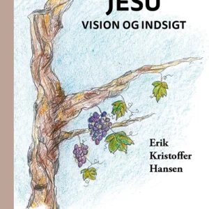 Jesu vision og indsigt