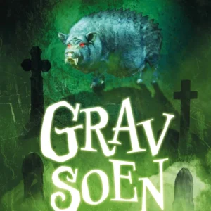 Gravsoen