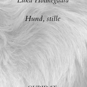 Hund, stille