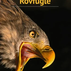 Rovfugle