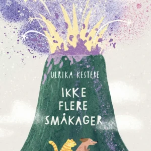 Ikke flere småkager