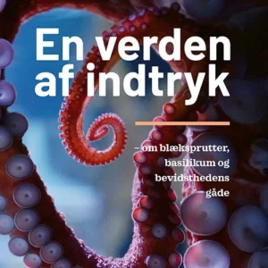 En verden af indtryk
